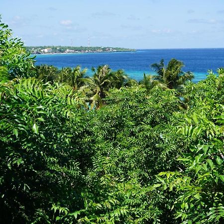 Mangga Lodge Bira Eksteriør billede