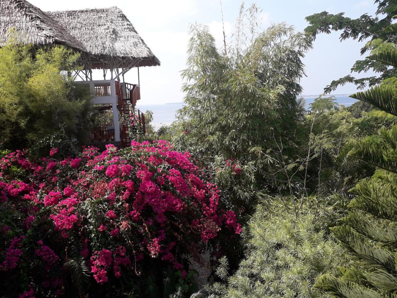 Mangga Lodge Bira Eksteriør billede